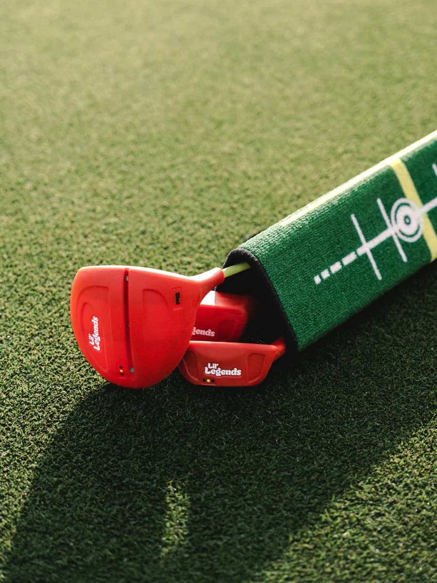 The See & Swing Driver in detail