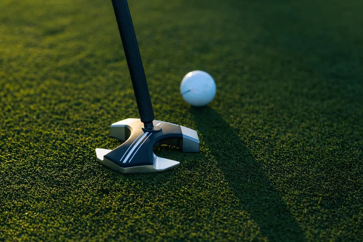 RS1 T-Wing tail design in golden light