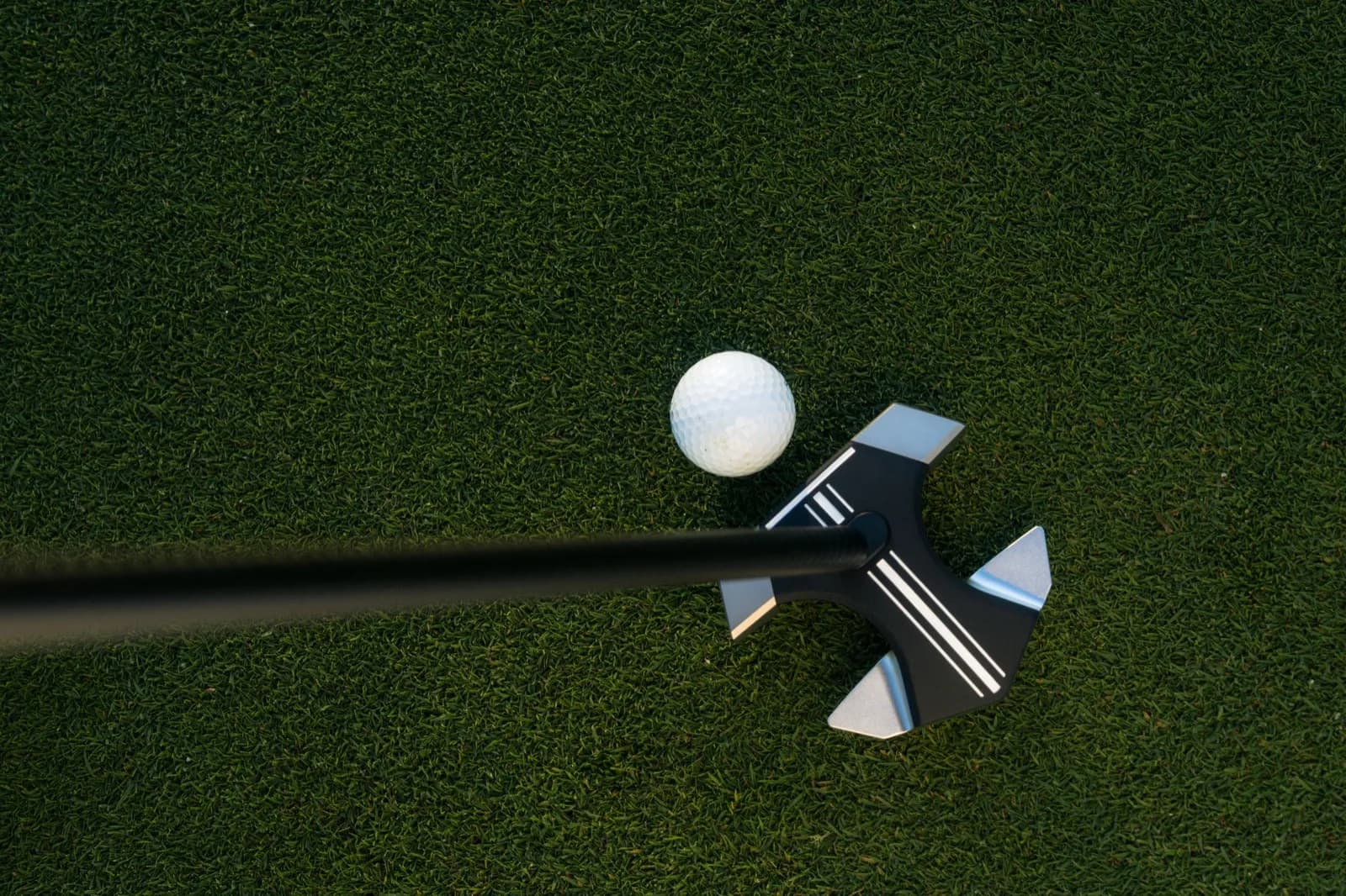 RS1 putter overhead view showing T-Wing tail and alignment lines