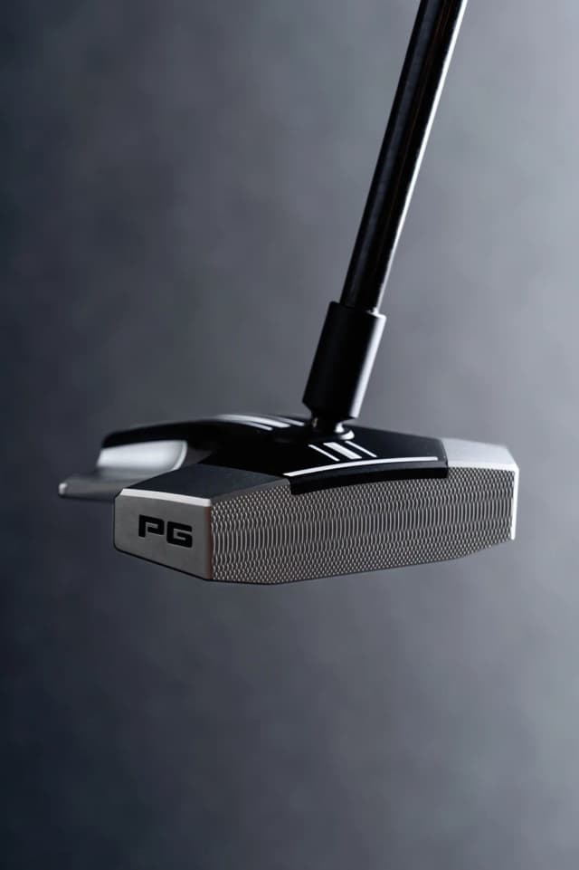 RS1 detail