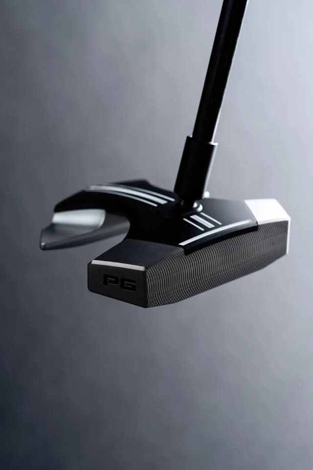 RS1 detail